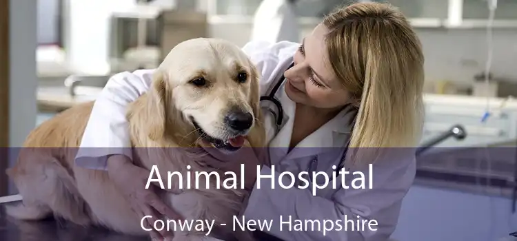 Animal Hospital Conway - New Hampshire