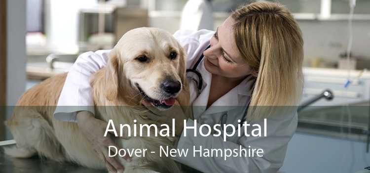 Animal Hospital Dover - New Hampshire