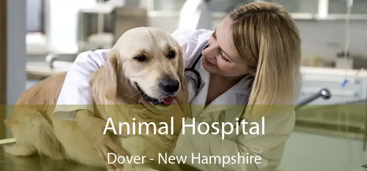 Animal Hospital Dover - New Hampshire
