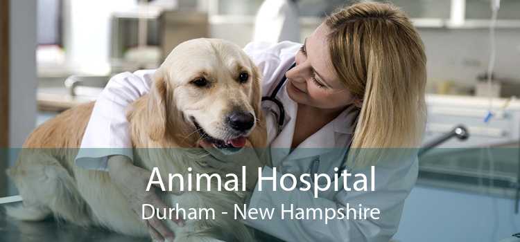 Animal Hospital Durham - New Hampshire