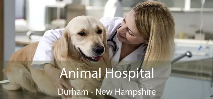 Animal Hospital Durham - New Hampshire