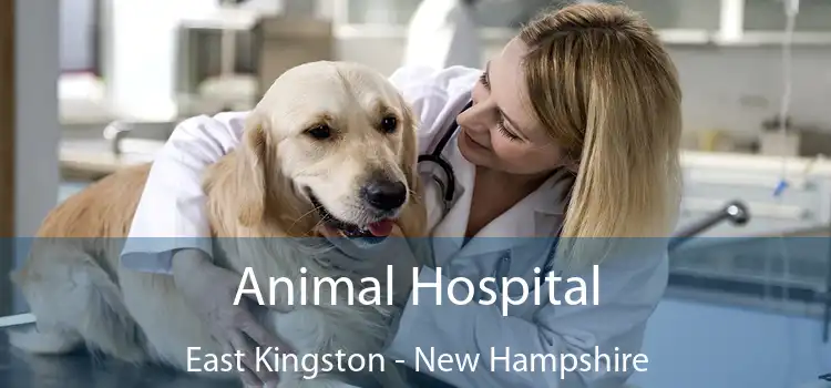 Animal Hospital East Kingston - New Hampshire