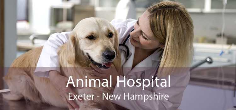 Animal Hospital Exeter - New Hampshire