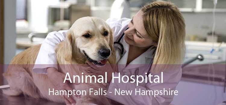 Animal Hospital Hampton Falls - New Hampshire
