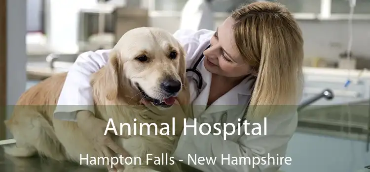 Animal Hospital Hampton Falls - New Hampshire