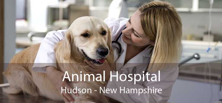 Animal Hospital Hudson - New Hampshire