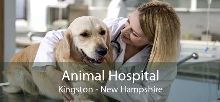 Animal Hospital Kingston - New Hampshire