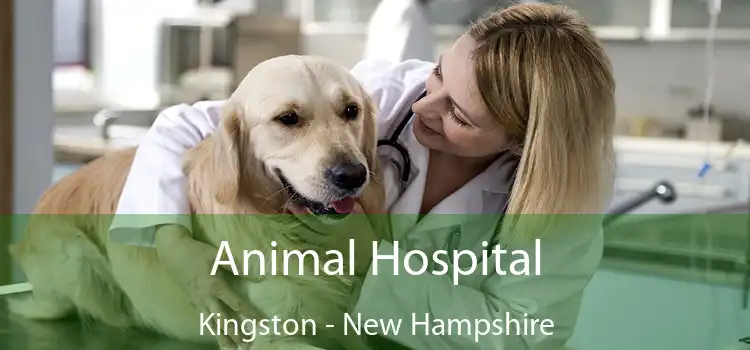 Animal Hospital Kingston - New Hampshire