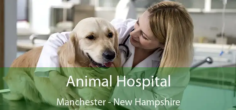 Animal Hospital Manchester - New Hampshire