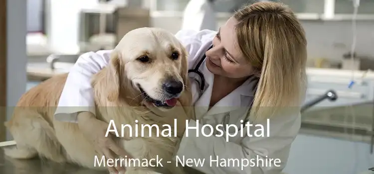 Animal Hospital Merrimack - New Hampshire