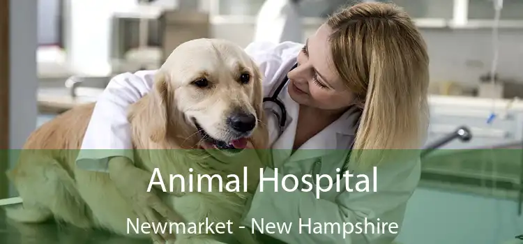 Animal Hospital Newmarket - New Hampshire