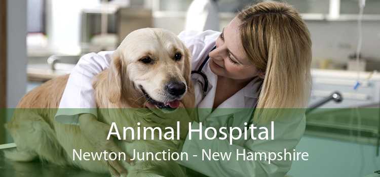 Animal Hospital Newton Junction - New Hampshire