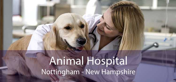Animal Hospital Nottingham - New Hampshire