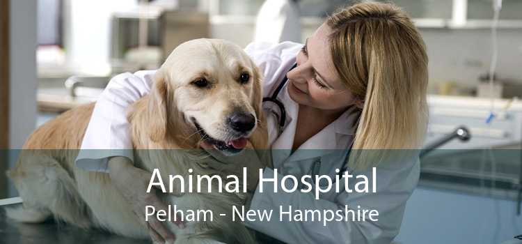 Animal Hospital Pelham - New Hampshire
