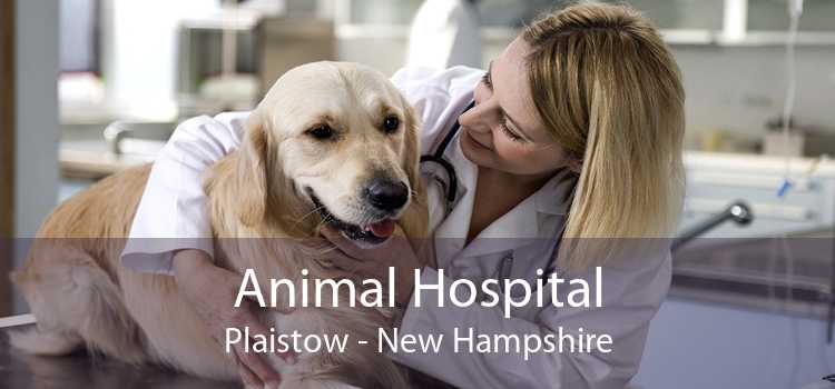Animal Hospital Plaistow - New Hampshire