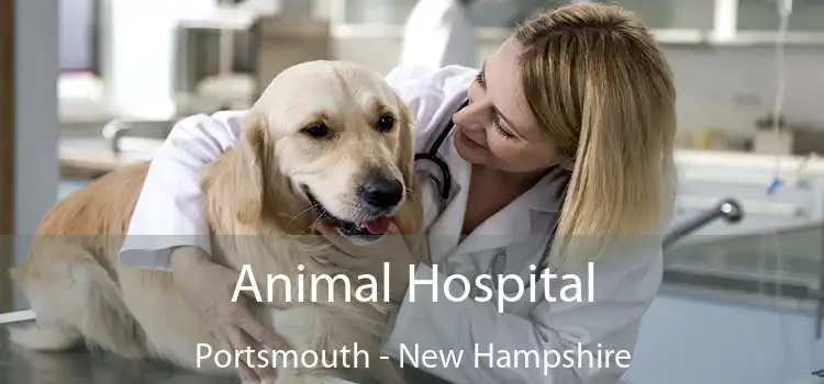 Animal Hospital Portsmouth - New Hampshire