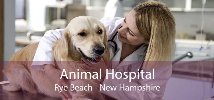 Animal Hospital Rye Beach - New Hampshire