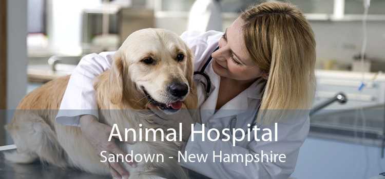 Animal Hospital Sandown - New Hampshire