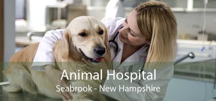 Animal Hospital Seabrook - New Hampshire