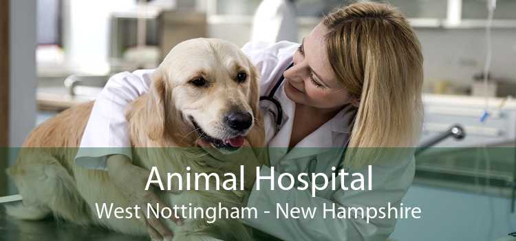 Animal Hospital West Nottingham - New Hampshire