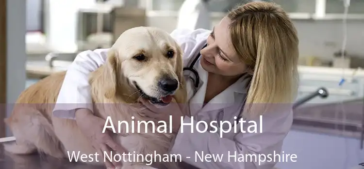 Animal Hospital West Nottingham - New Hampshire