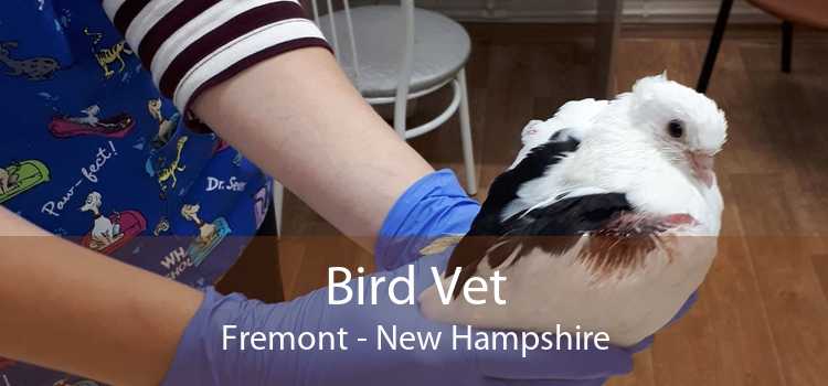 Bird Vet Fremont - New Hampshire