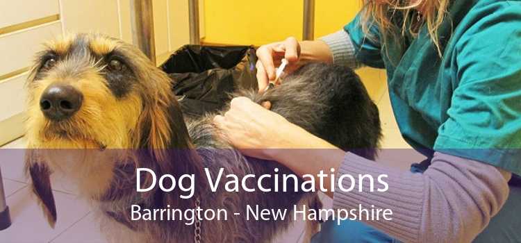 Dog Vaccinations Barrington - New Hampshire