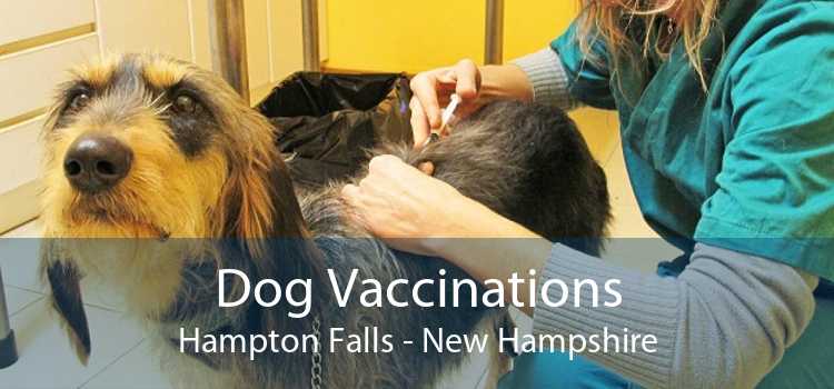 Dog Vaccinations Hampton Falls - New Hampshire