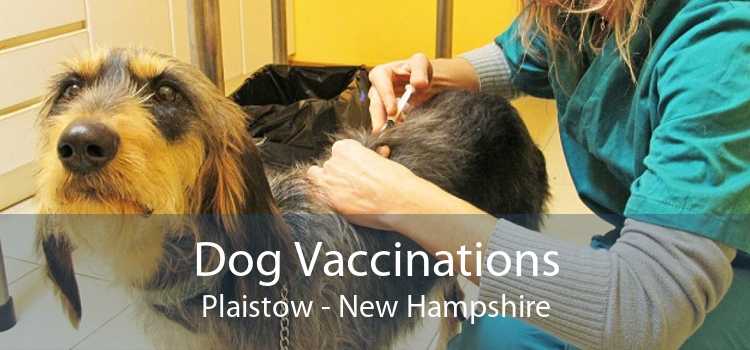 Dog Vaccinations Plaistow - New Hampshire