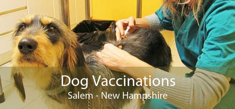 Dog Vaccinations Salem - New Hampshire