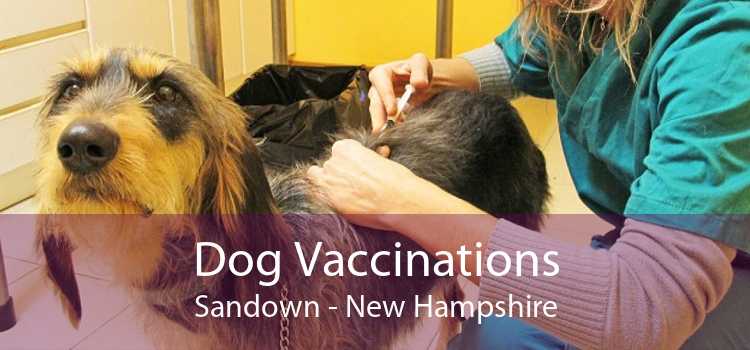 Dog Vaccinations Sandown - New Hampshire