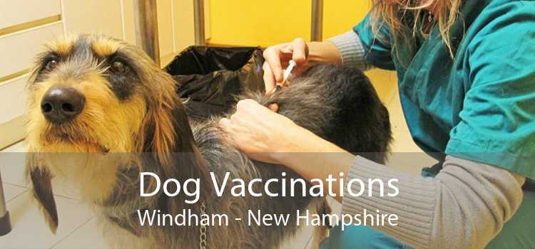 Dog Vaccinations Windham - New Hampshire