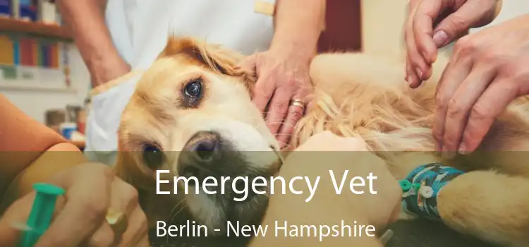 Emergency Vet Berlin - New Hampshire
