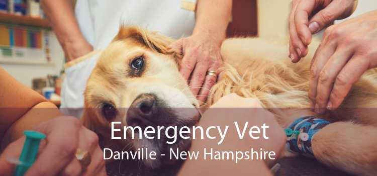 Emergency Vet Danville - New Hampshire