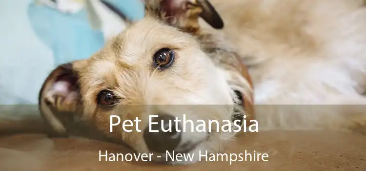 Pet Euthanasia Hanover - New Hampshire