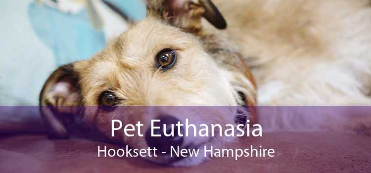 Pet Euthanasia Hooksett - New Hampshire