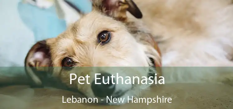 Pet Euthanasia Lebanon - New Hampshire
