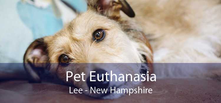 Pet Euthanasia Lee - New Hampshire
