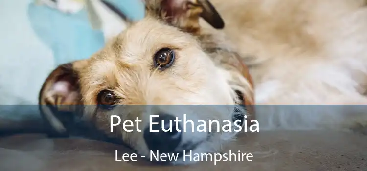 Pet Euthanasia Lee - New Hampshire