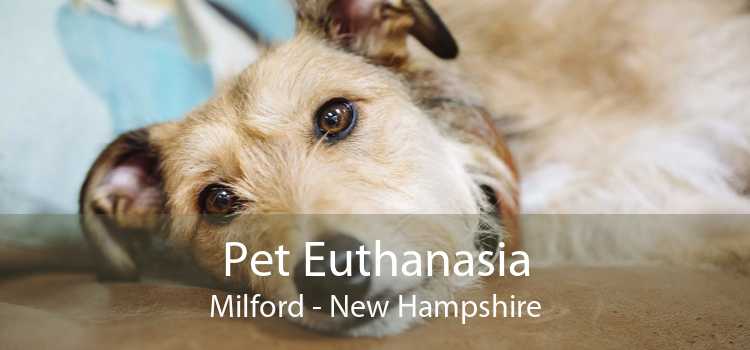 Pet Euthanasia Milford - New Hampshire