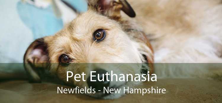Pet Euthanasia Newfields - New Hampshire