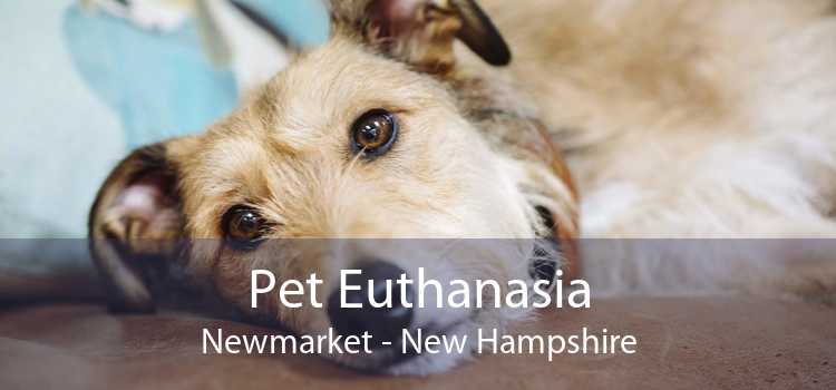 Pet Euthanasia Newmarket - New Hampshire