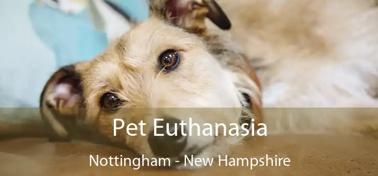 Pet Euthanasia Nottingham - New Hampshire