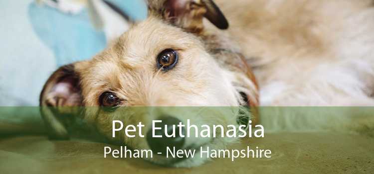 Pet Euthanasia Pelham - New Hampshire