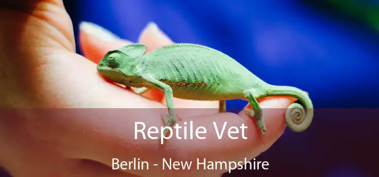 Reptile Vet Berlin - New Hampshire