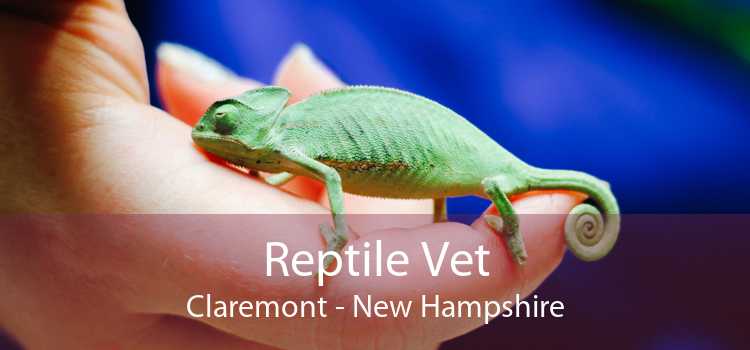 Reptile Vet Claremont - New Hampshire