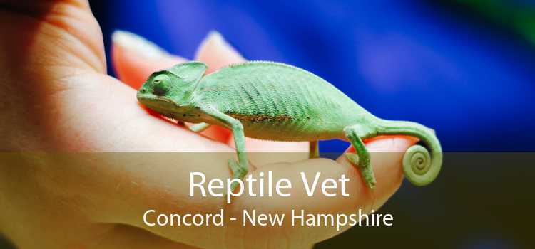Reptile Vet Concord - New Hampshire