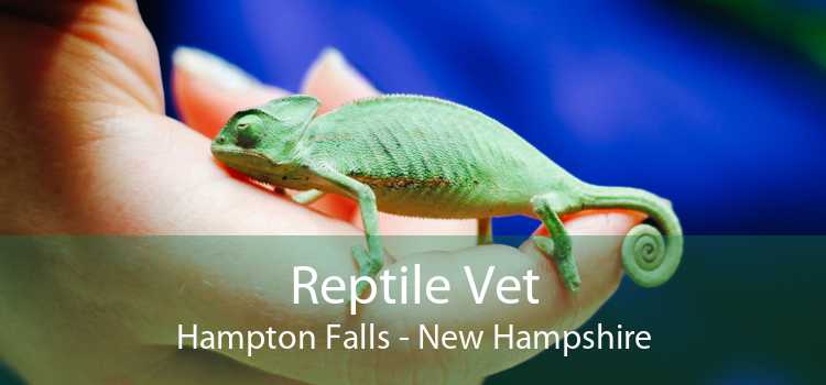Reptile Vet Hampton Falls - New Hampshire