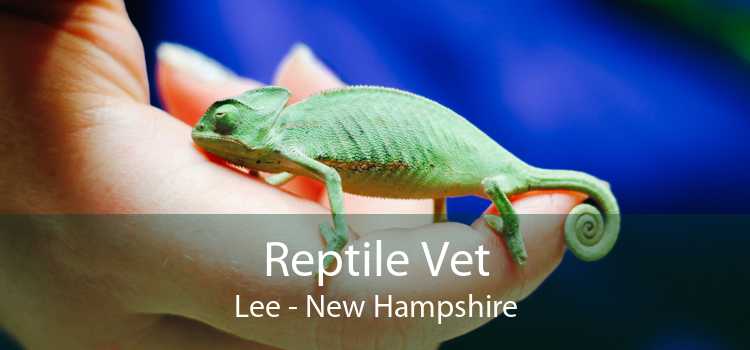 Reptile Vet Lee - New Hampshire