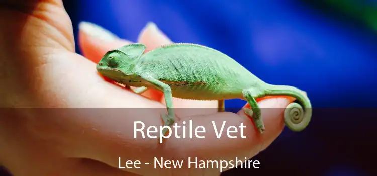 Reptile Vet Lee - New Hampshire